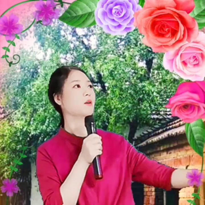 聊天经验分享官方直播间,经验分享新人聊天直播