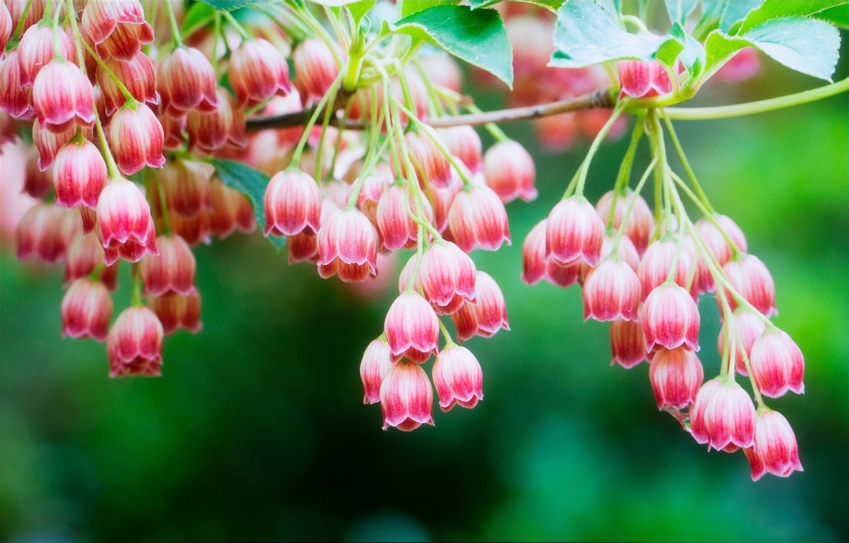 显示器颜色调整推荐,显示器用哪个颜色方案好