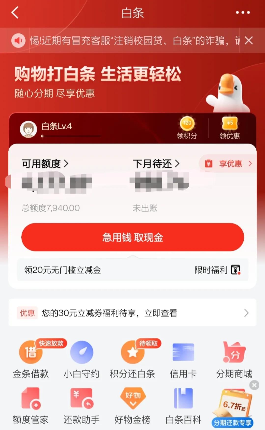 京东白条要注意哪些事项,京东白条不使用会扣年费吗