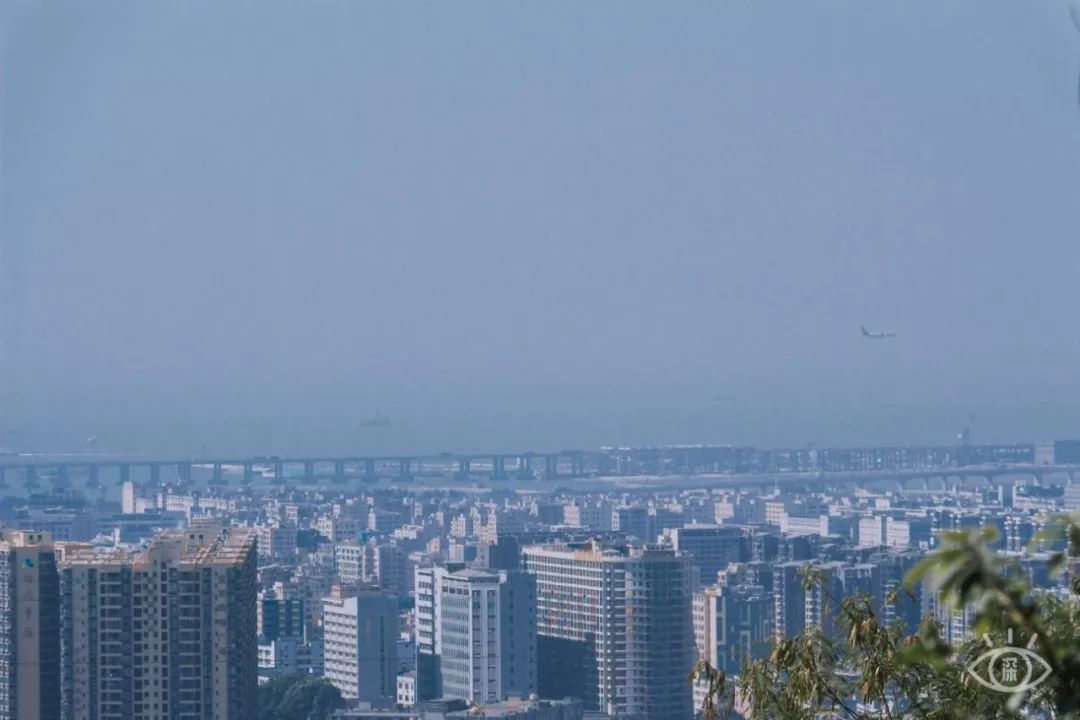 深圳10条入门登山线路推荐,深圳十大山峰最新登山攻略