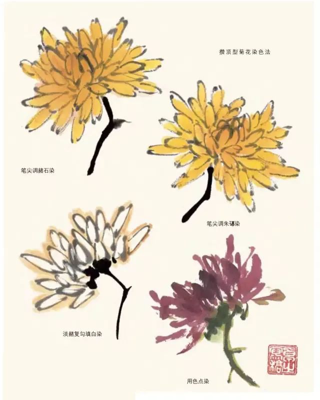 詹仁左写意菊花画法,陈半丁菊花写意画法