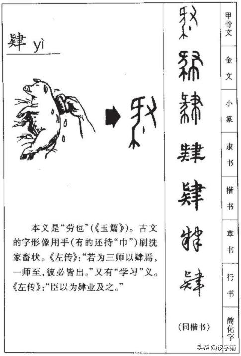 肄业怎么读白话,肄业怎么读音是什么意思