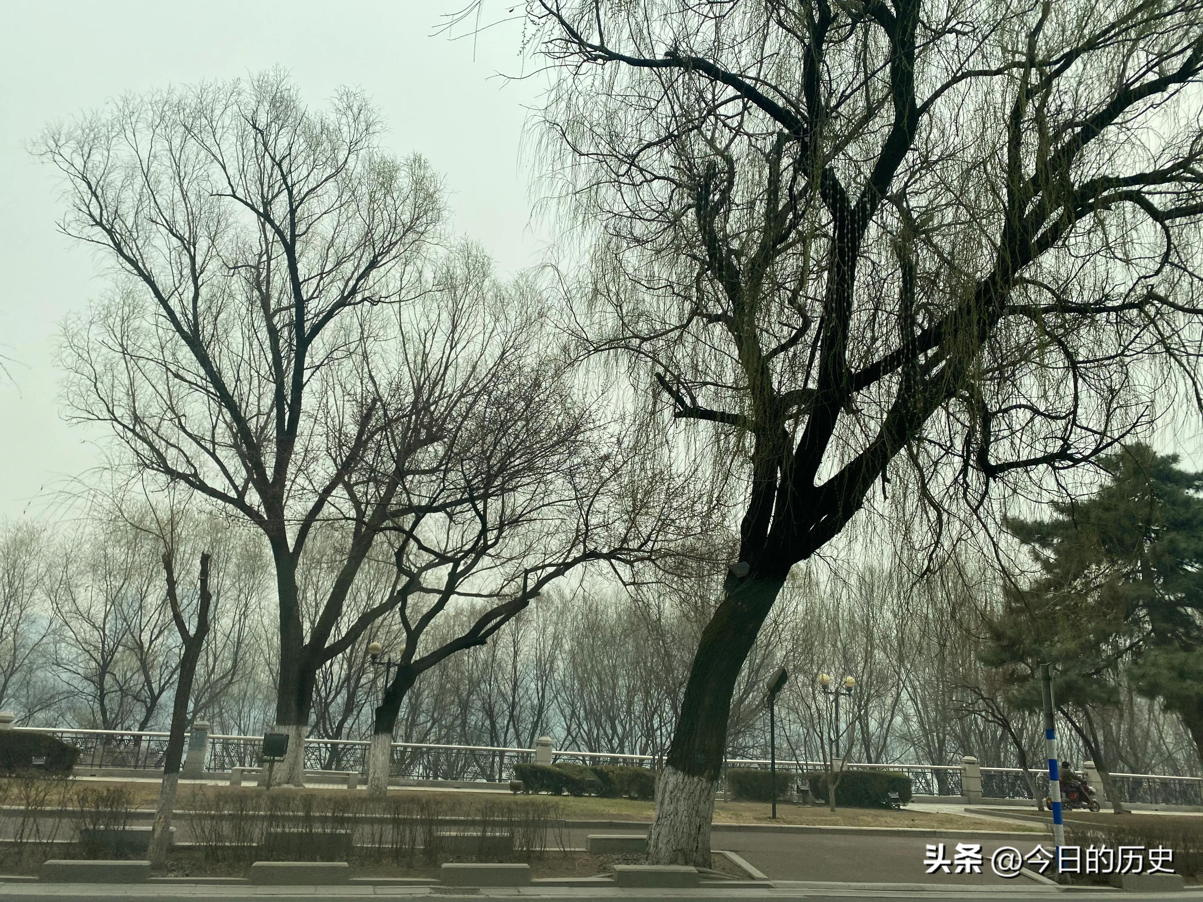 历史上的今天4月7日,历史上的今天4月9号