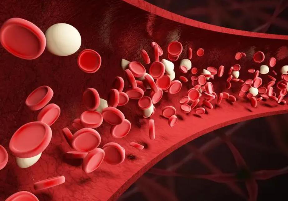 空腹吃柿子为什么会结石,空腹食用柿子当心结石作怪