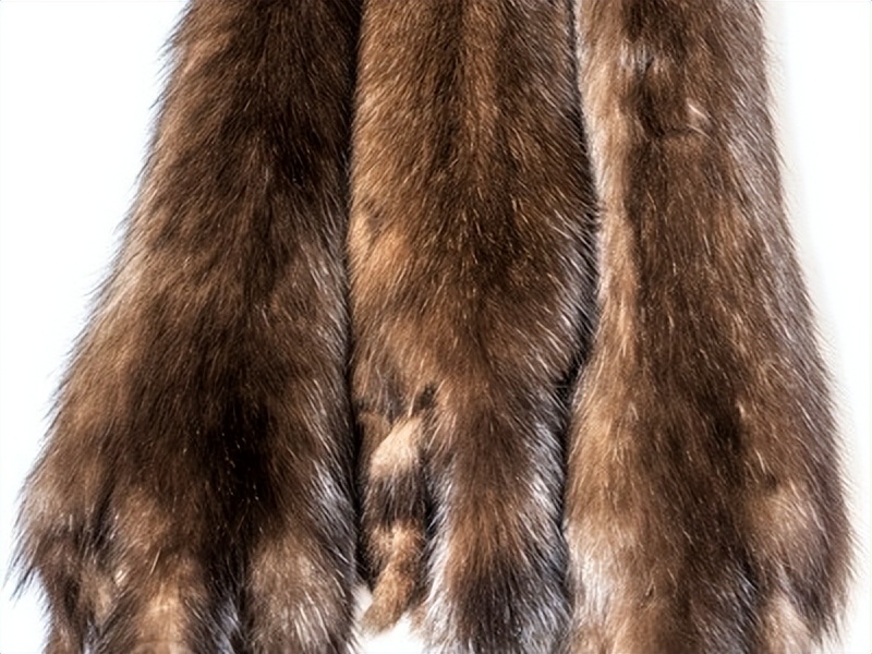 沙俄对西伯利亚的毛皮贸易,17世纪的西伯利亚