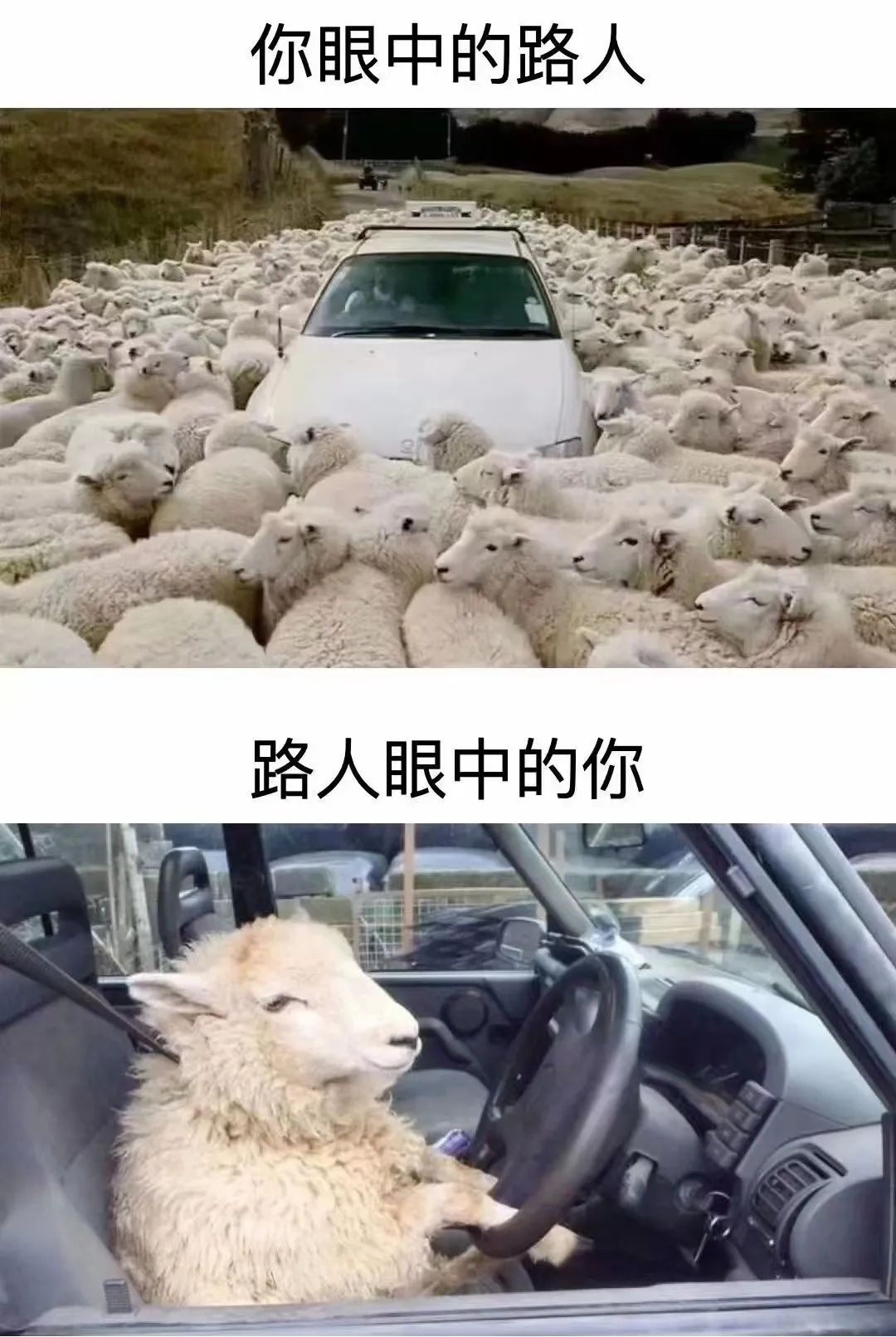 新冠保险不予理赔怎么办,新冠当前买什么保险