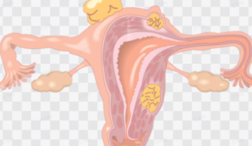 女性切除子宫会对卵巢有影响吗,女性切除子宫影响月经还是生育