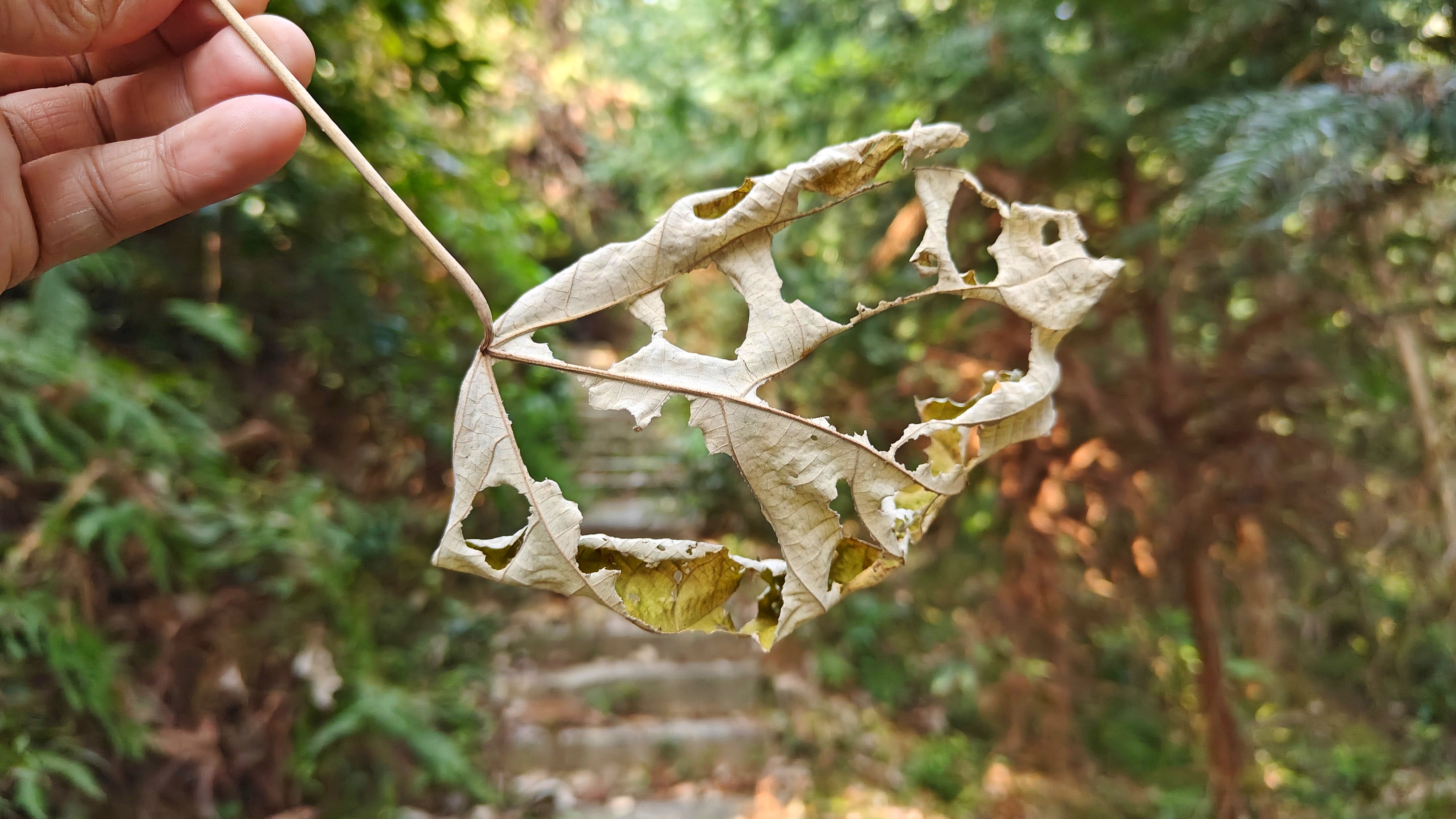 徒步三叠井森林公园，拥抱采兰溪，走进大自然