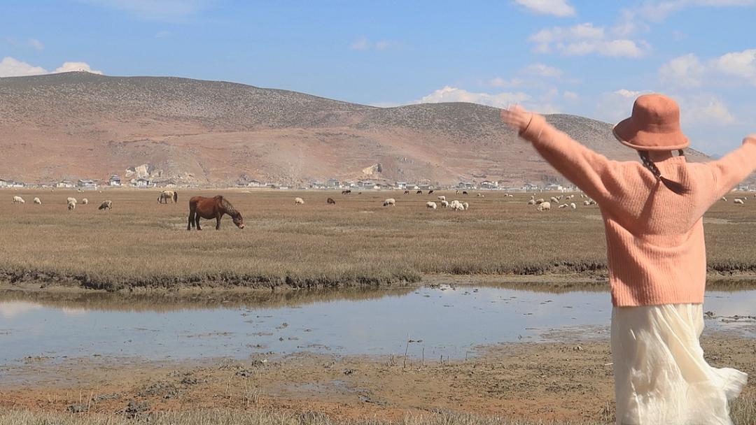 自媒体赚钱方法轻松月赚1万,能赚钱的16个自媒体