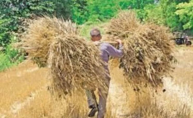 生产队里的那些事,生产队的那些事儿