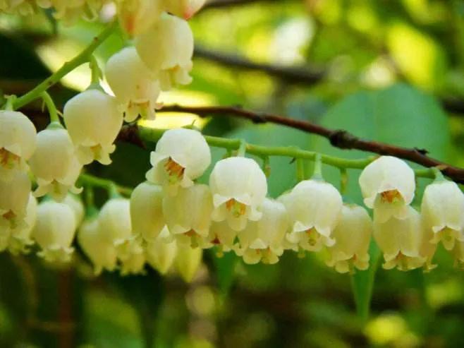 100种迷人的“数字花”,从零到一百万,真是太神奇了