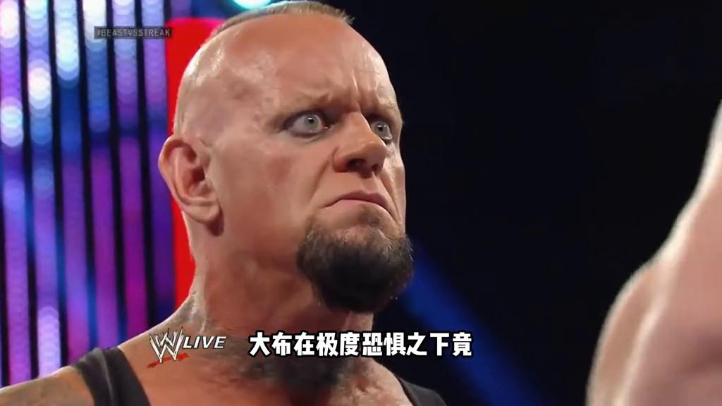 布洛克莱斯纳终结送葬者图片,布洛克vs送葬者摔角狂热集锦