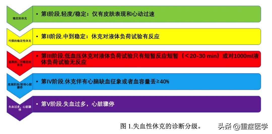 失血性休克的该管理：生理学方法、时机和策略