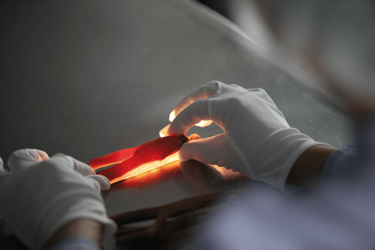 红参饮品正官庄新鲜滋补,红参滋补礼盒