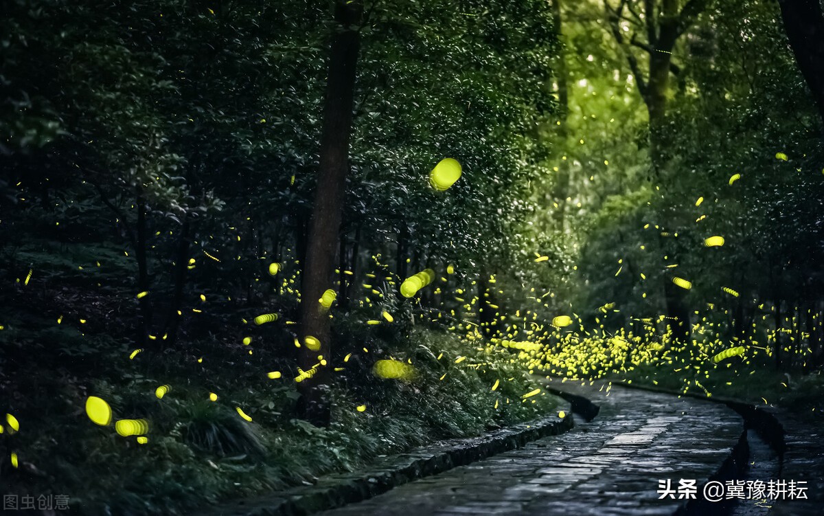 大暑天气凉爽预示什么,今日大暑时段天气预报表