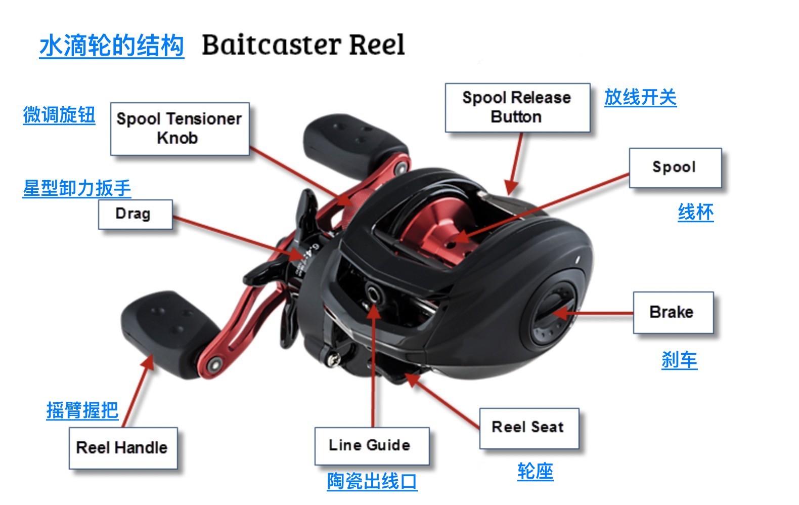 新手入门怎么选择水滴轮 (新手如何选择水滴轮)
