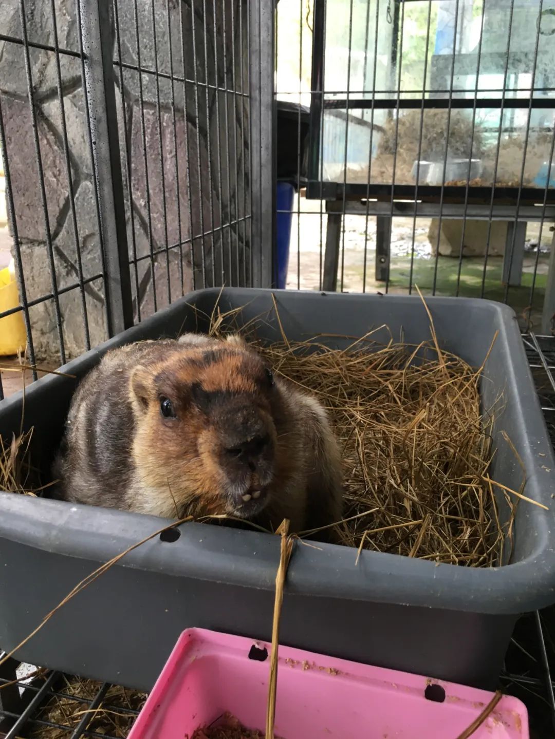 旭光电动车行,旭光车行向阳路