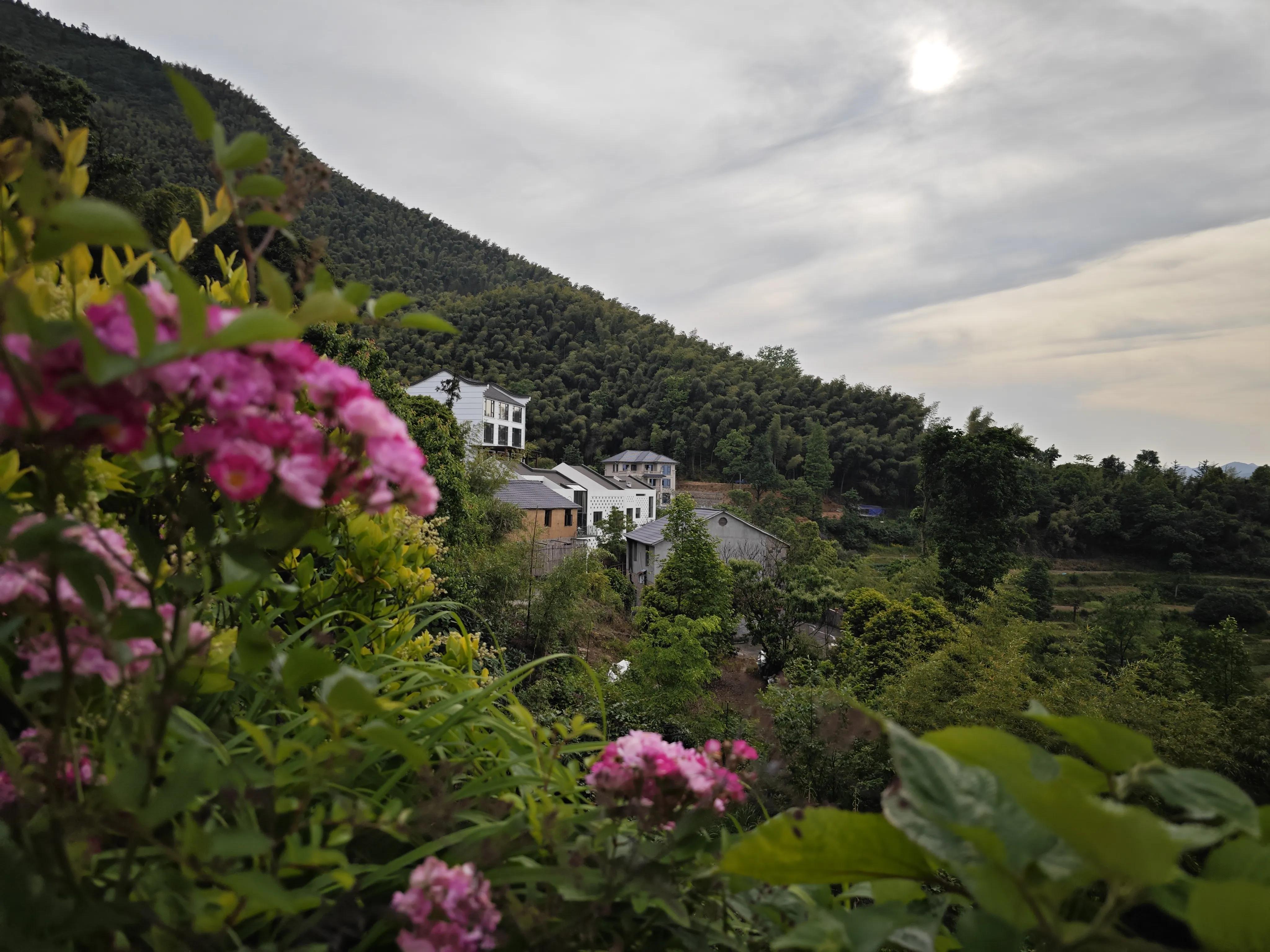 梯田里的绝美民宿欣赏,梯田观景最好的民宿