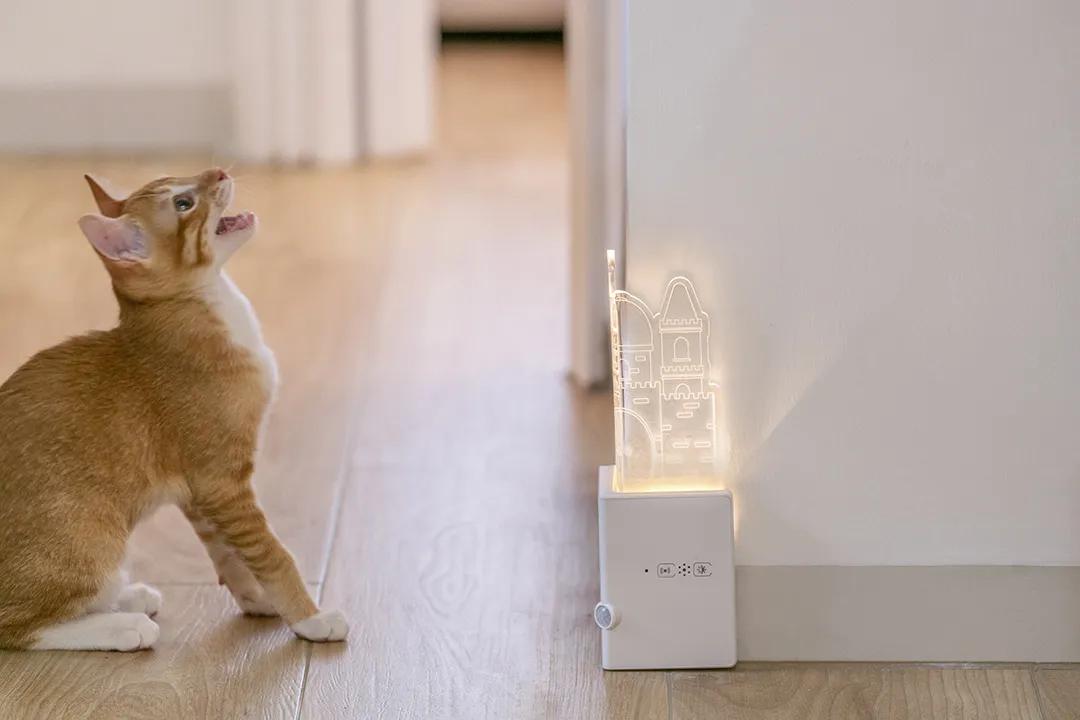 二人三喵|50平深圳“老破小”变身日系小屋