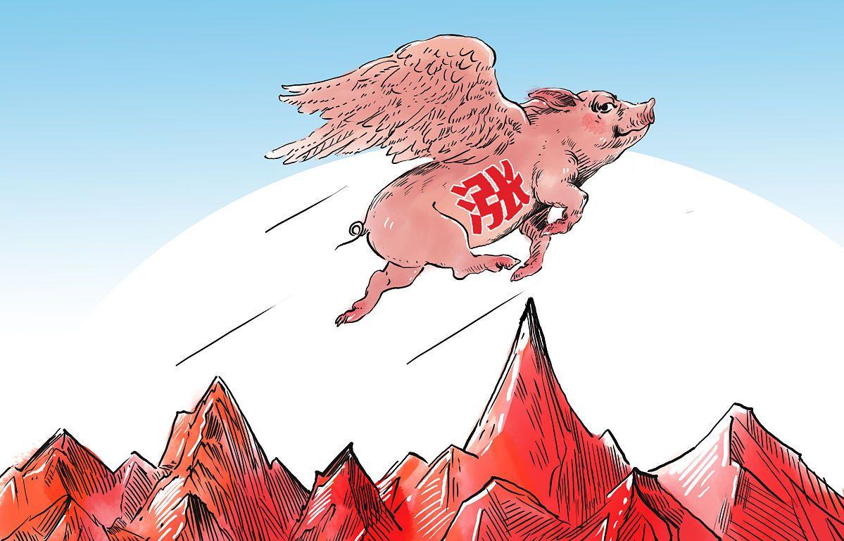 猪价上涨六七月份猪价怎样走,猪价大幅下跌春节前猪价还能涨吗