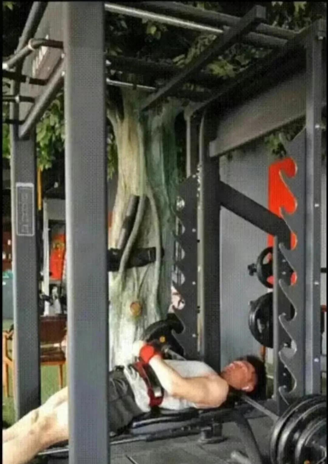 举重死亡,因举重失误而死亡