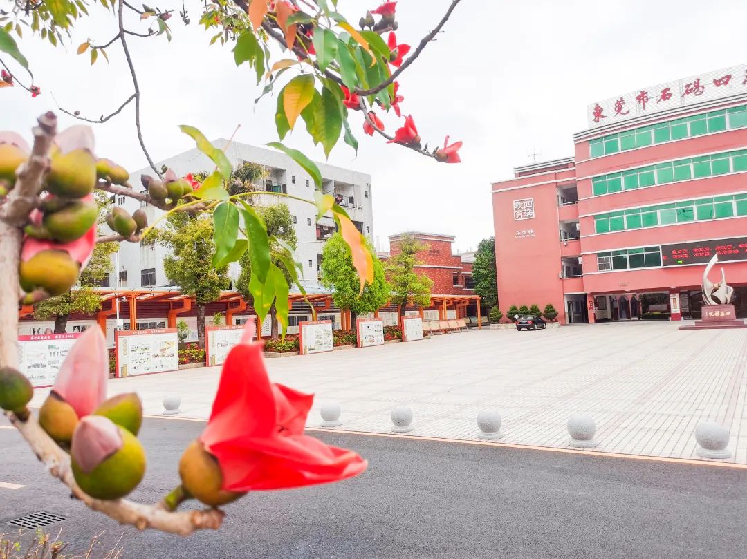 选择石碣四海学校！报读一年级和七年级学生6月4日开始网上填报志愿！