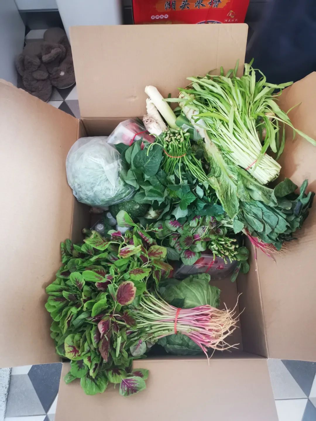 疫情防控下gmp建筑师的居家日志（上海篇）