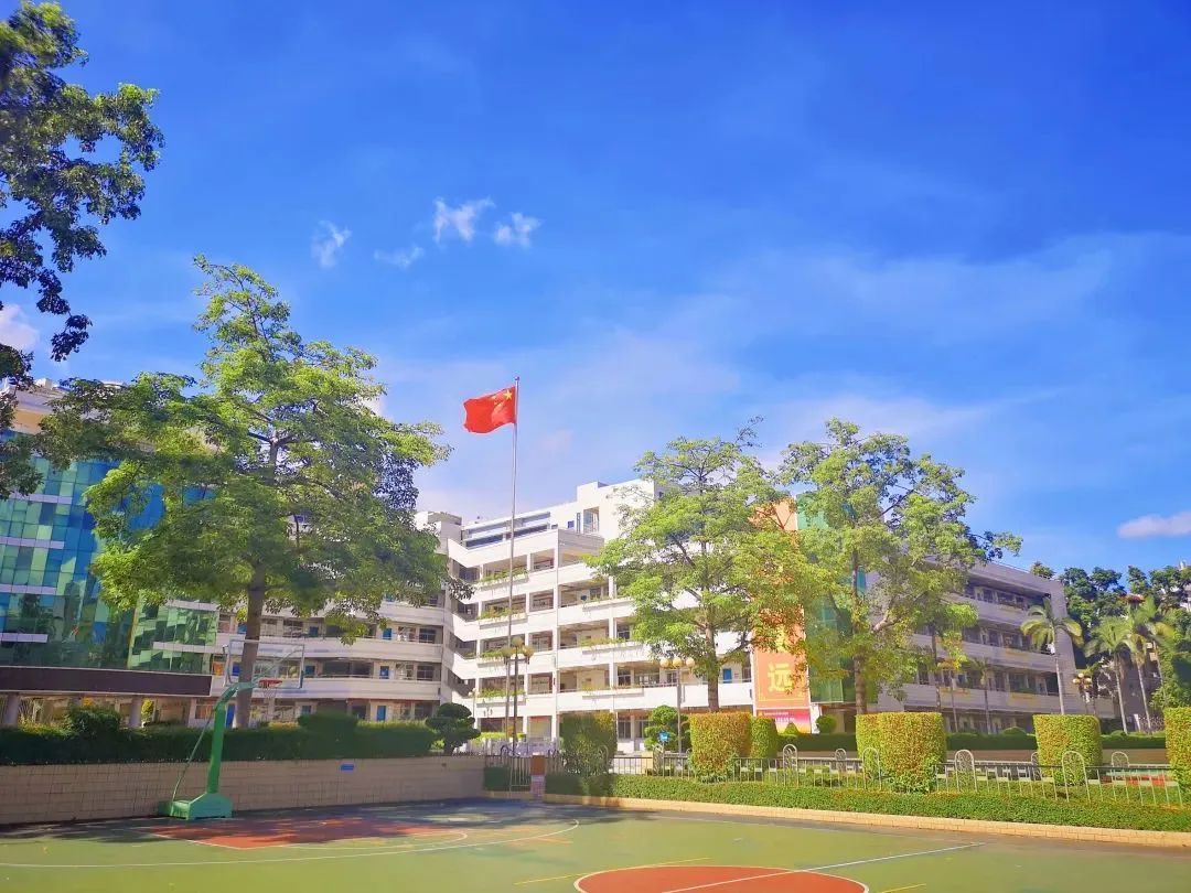 名校长培训感想,新任中学副校长任职感言