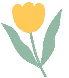 深圳宝安三天两夜旅游攻略,深圳宝安推荐2-3天游