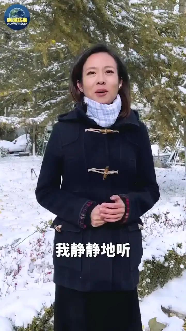 央视主播宝晓峰的老公,宝晓峰央视主持人简介