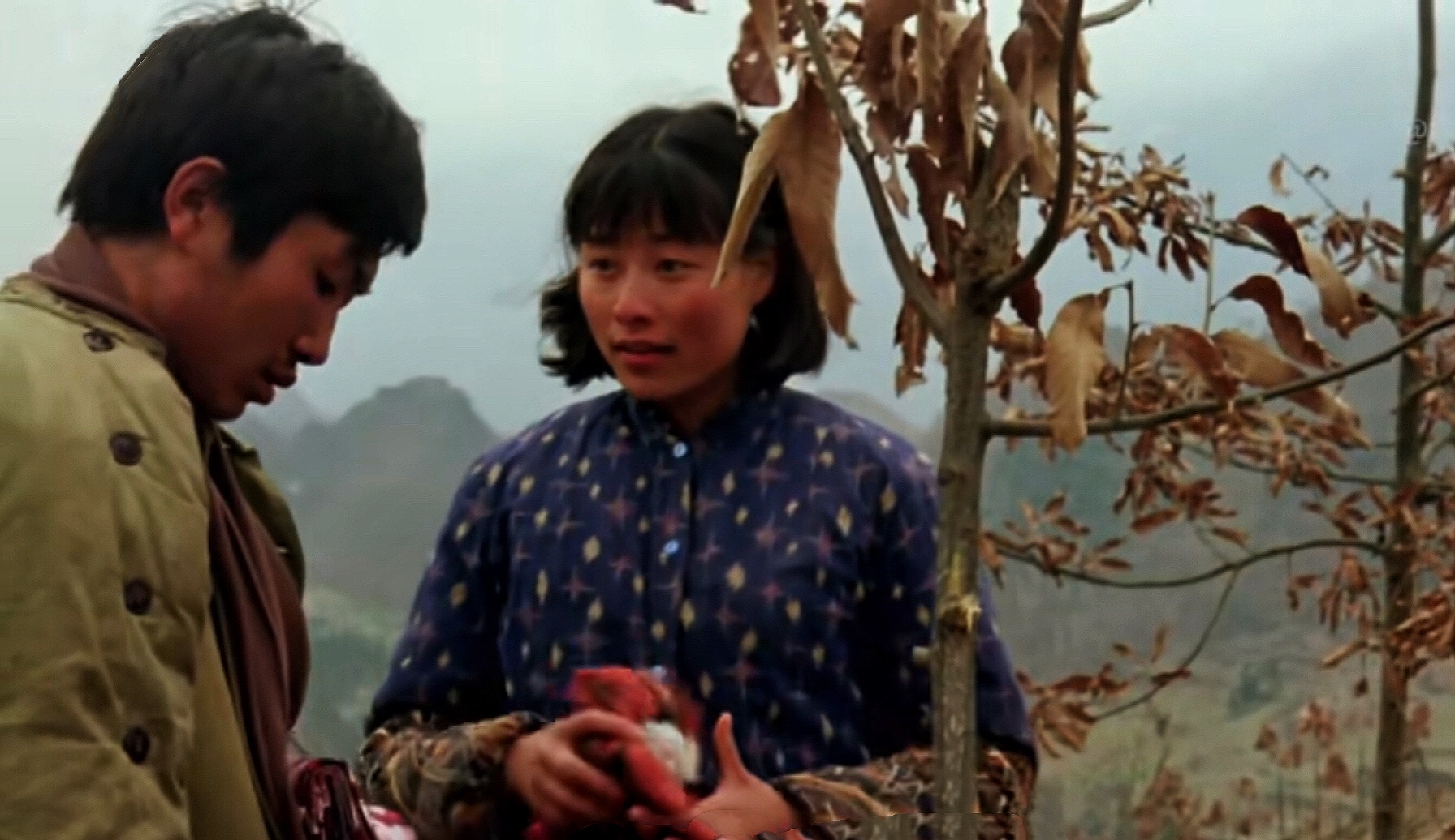 贾平凹小说鸡窝洼人家讲的什么,贾平凹与消失的乡村