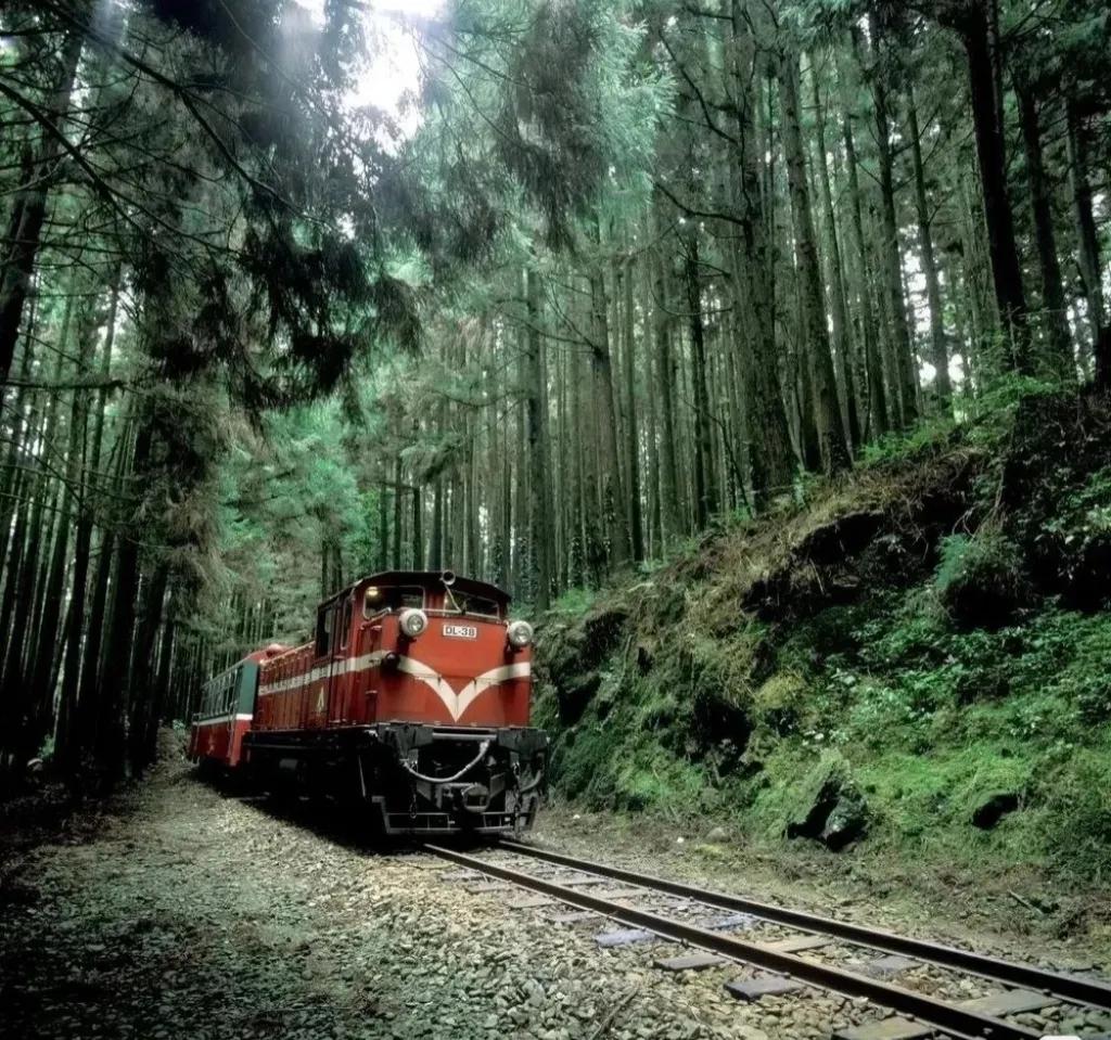 避暑胜地有山有水有树林,大别山避暑胜地有哪些