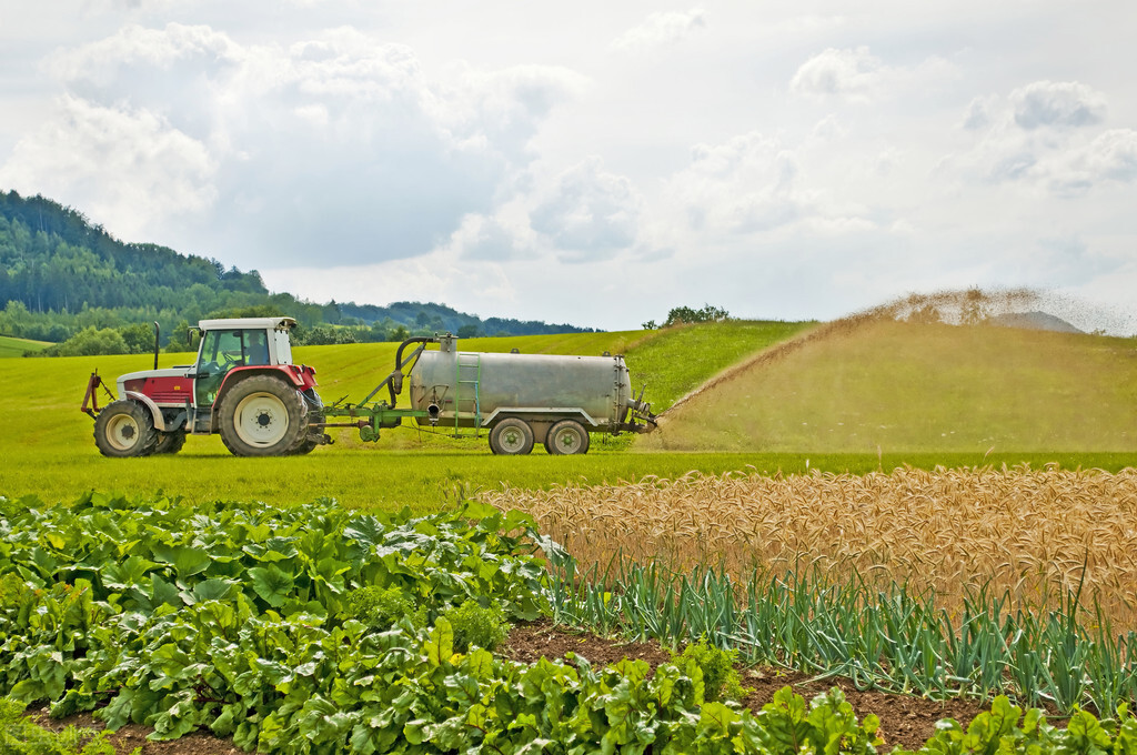 06年日商在中国租1500亩地，搁置5年鲜有过问，神秘背后大有文章