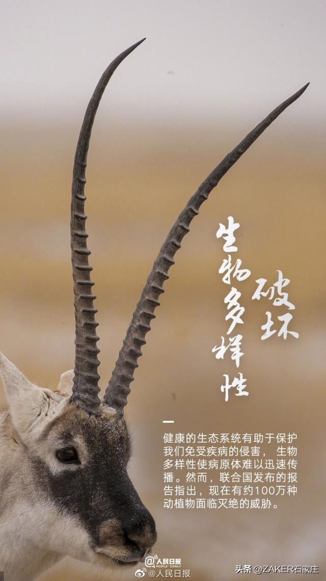 石家庄农批接驳专线,石家庄农批中心接驳专线