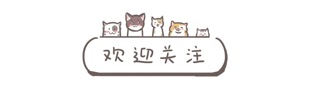 智商税家居用品越来越糟心,家居用品个个都是智商税