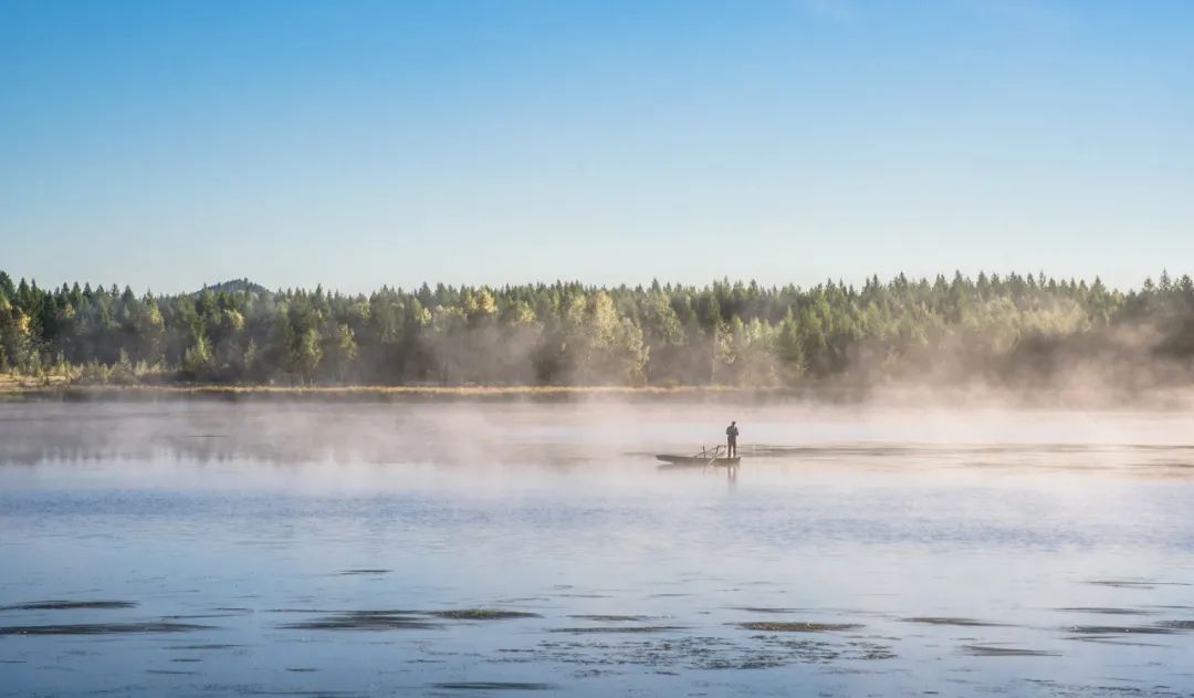 宋诗500首儿童背诵,唐宋诗三百首幼儿早教唐诗背诵