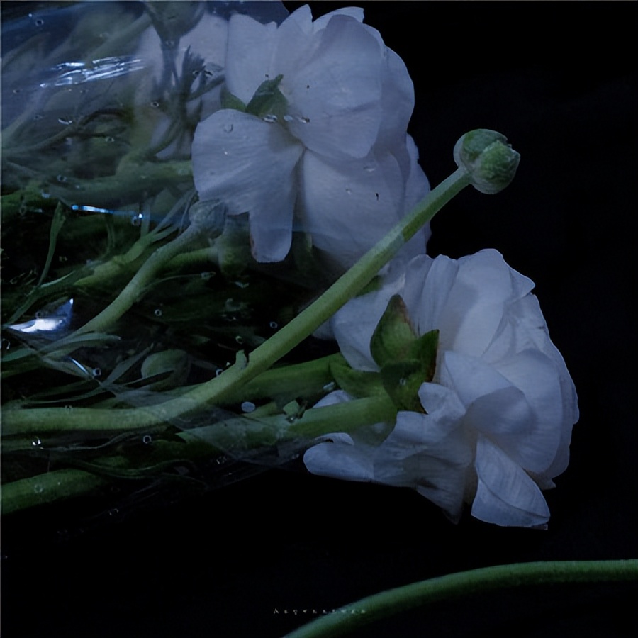 孤独失望的背景图带字,适合朋友圈背景图片孤独