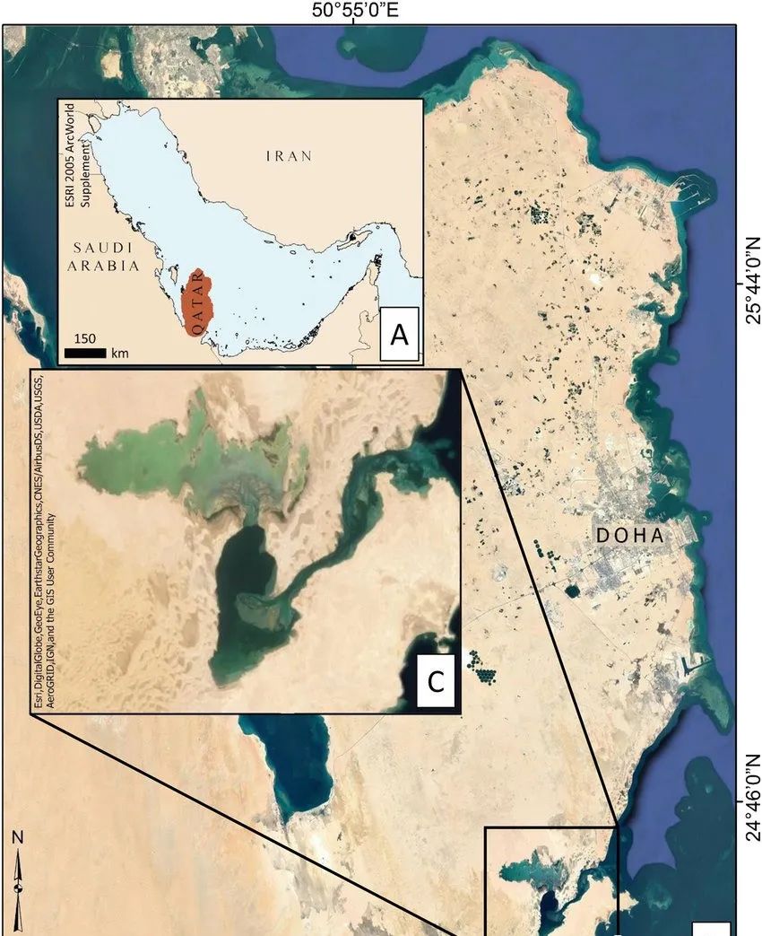 卡塔尔是属于哪个沙漠,卡塔尔沙漠面积有多大