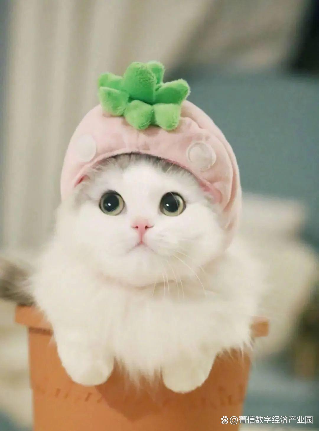 月入过万真实职业,可以月入过万的职业有哪些