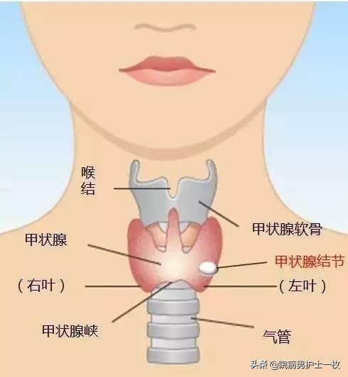 「急救」鱼刺卡喉如何处置