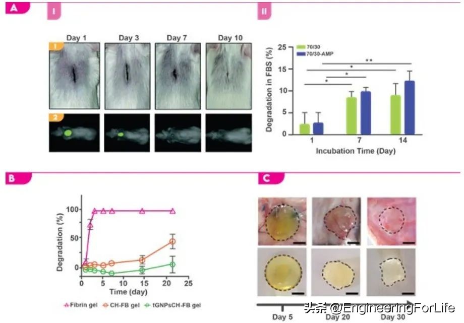 《AM》综述：对具有抗菌性能生物粘合剂的深度剖析