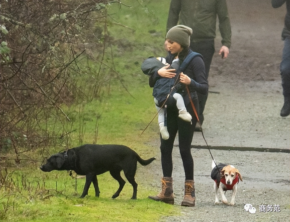 威廉哈里梅根生孩子了吗,威廉哈里梅根生日