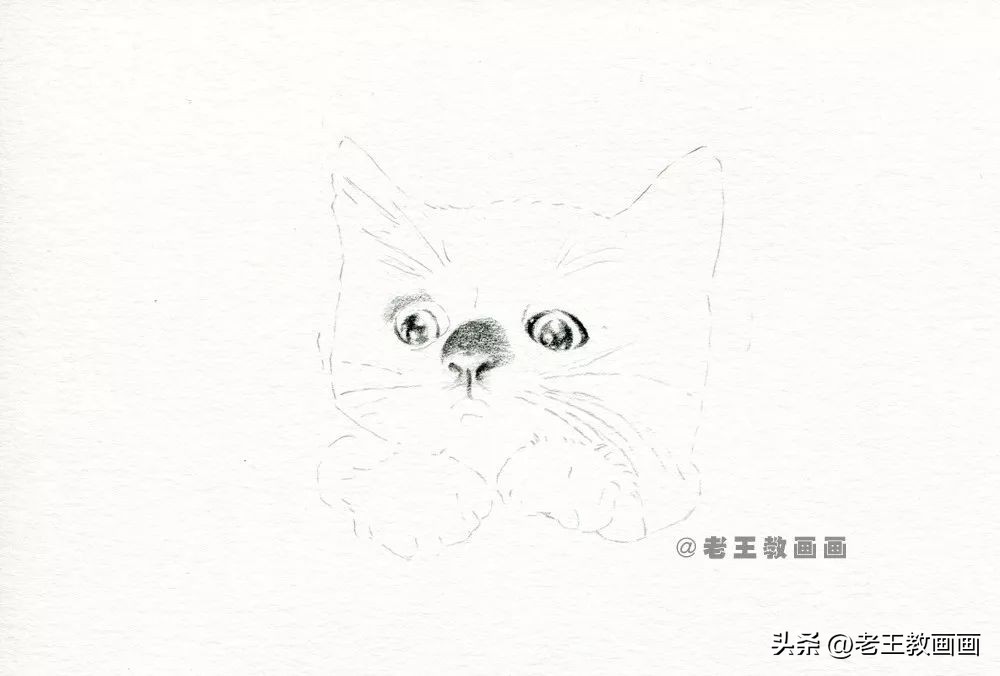 彩铅基础教程，教你画一只小黑猫咪