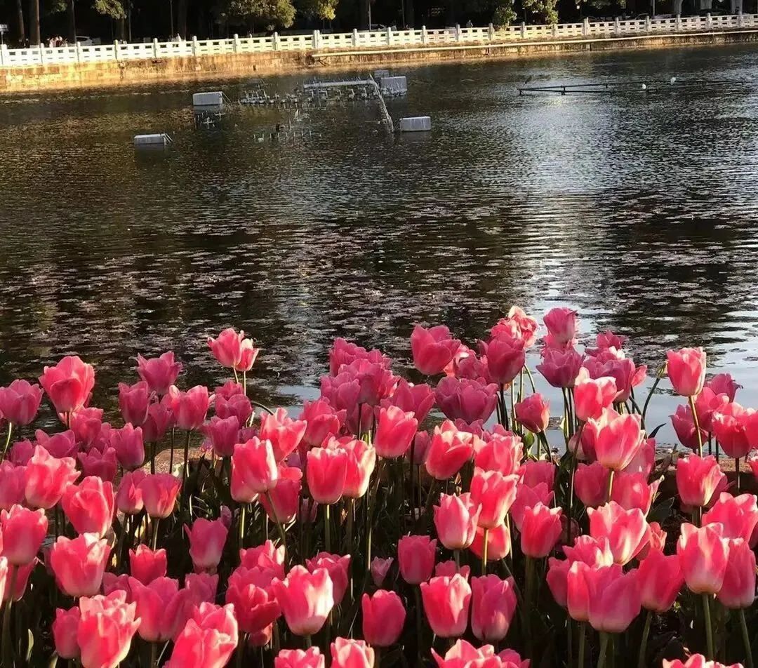 开始期待夏天的海边文案,期待夏天的文案