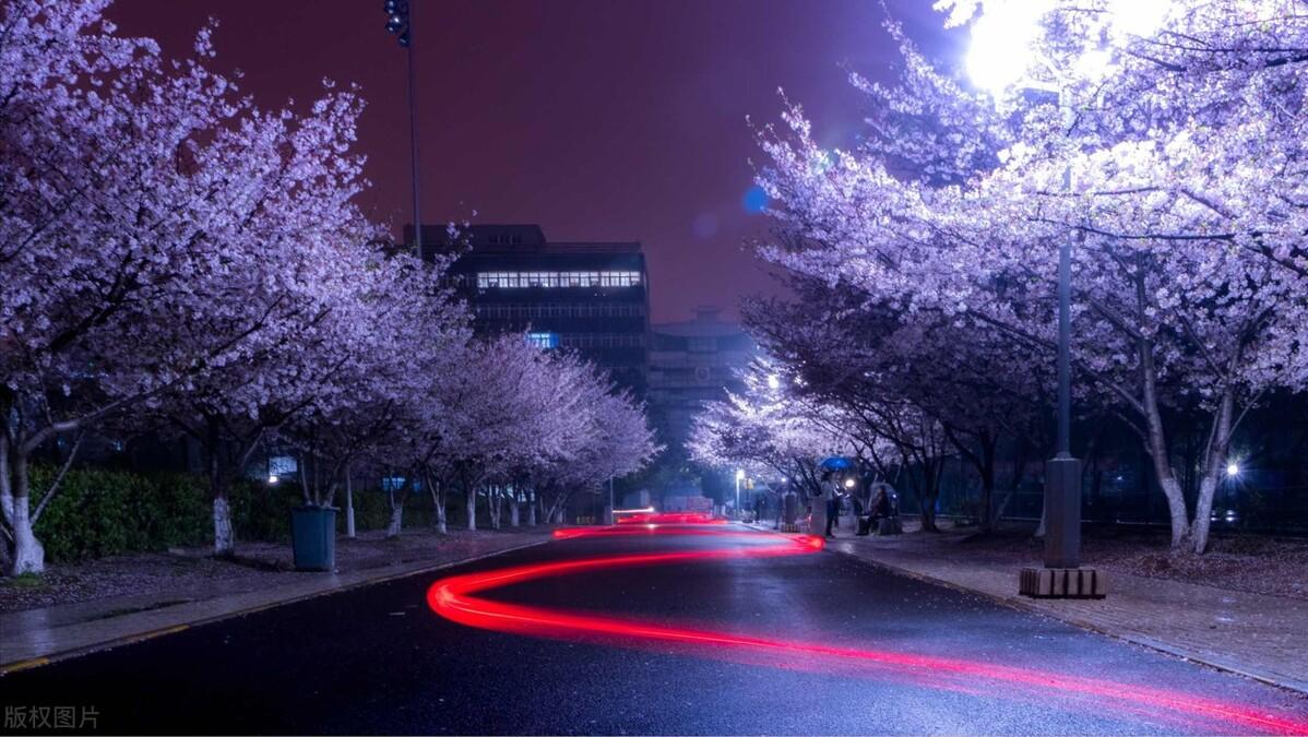 哈工大西交北理工怎么选,北理工武大华科大怎么选