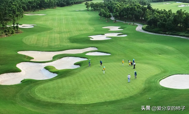 211冷门专业和普通本科王牌专业,985211冷门专业排名前十名