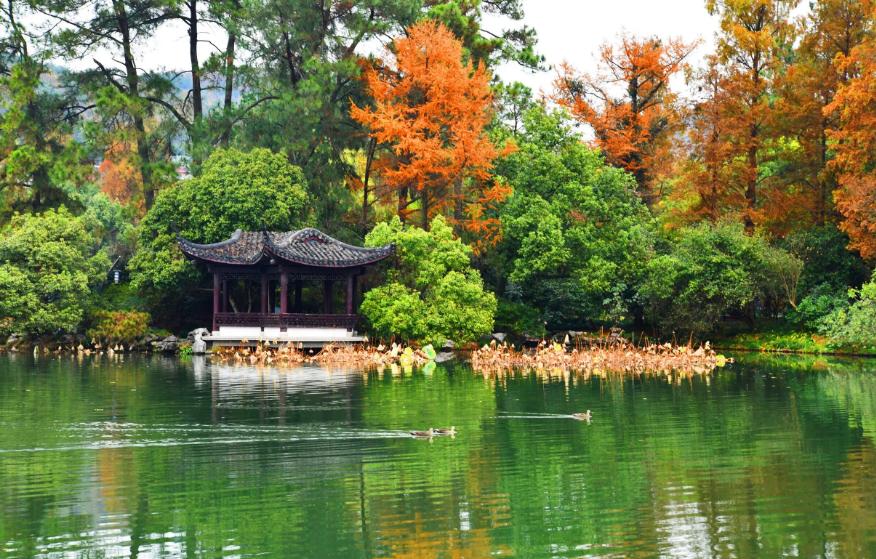 赞美西湖秋日美景的诗词,关于西湖深秋景色的唯美诗句