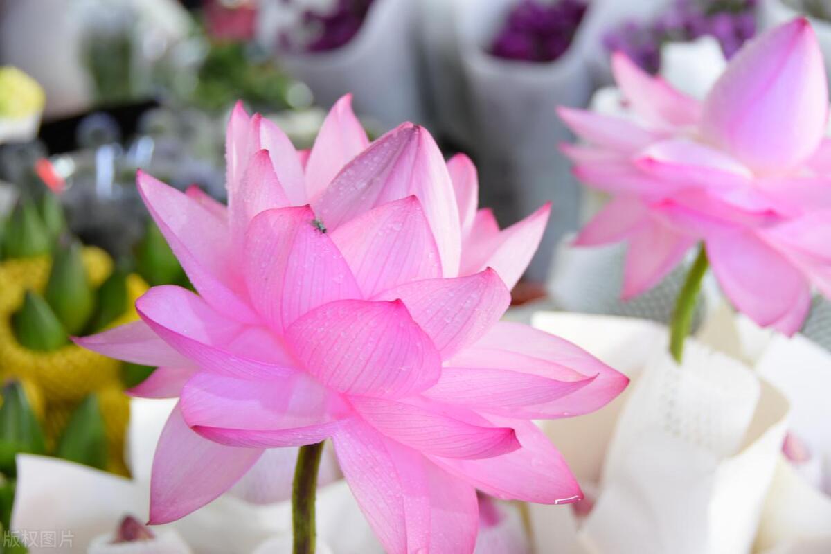 钱钱钱，到处是为钱的烦恼