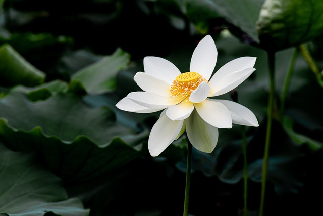 老年人舍不得丢东西故事,每个物品背后都有故事