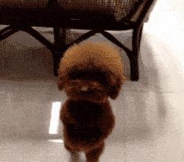 纹身为什么要三思而后行,颈部纹身三思而后行